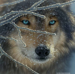 Fire Within Ice