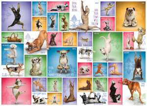 Yoga Dogs